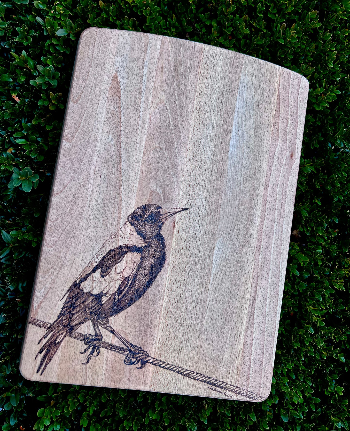 Magpie board