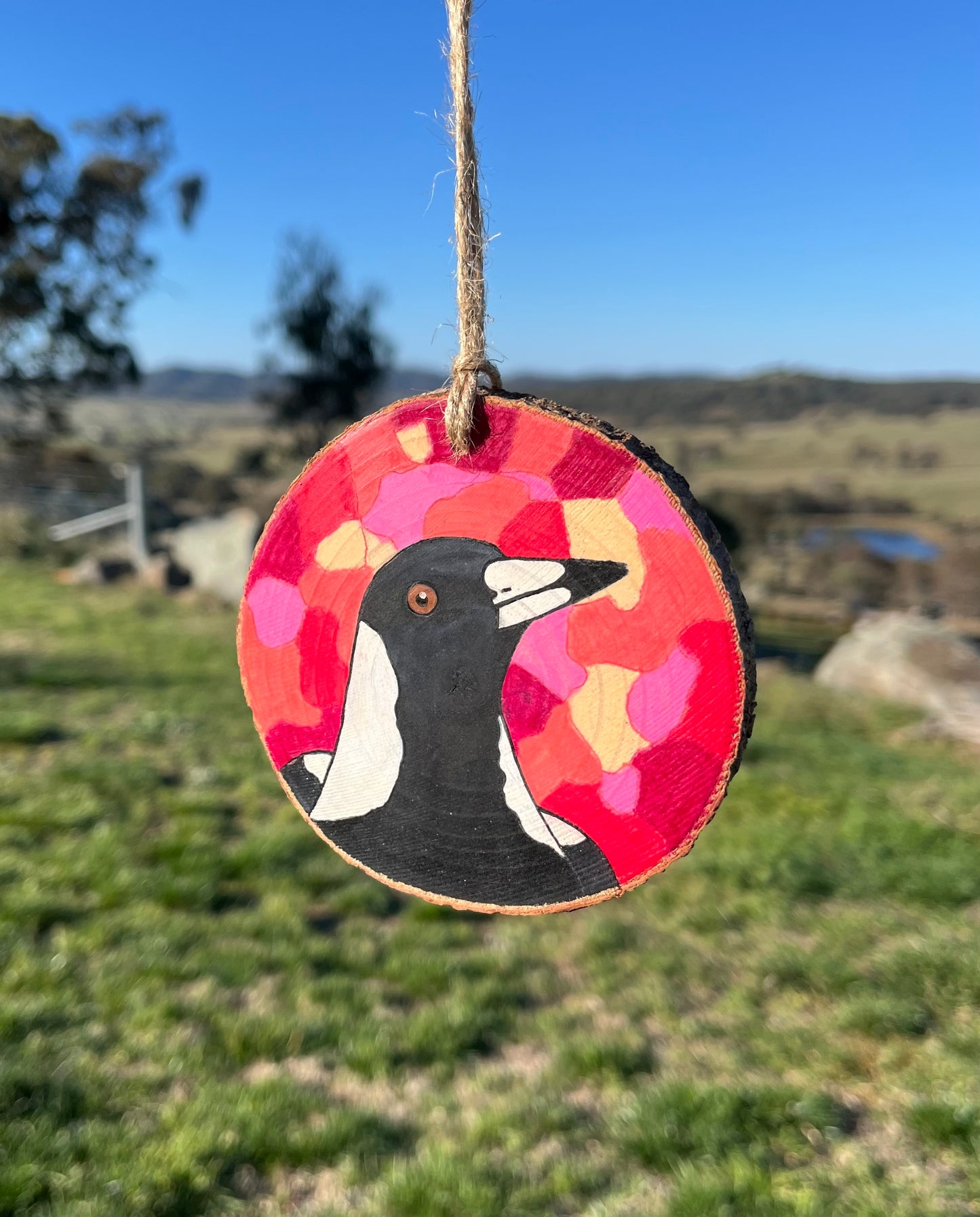 Magpie with coloured background