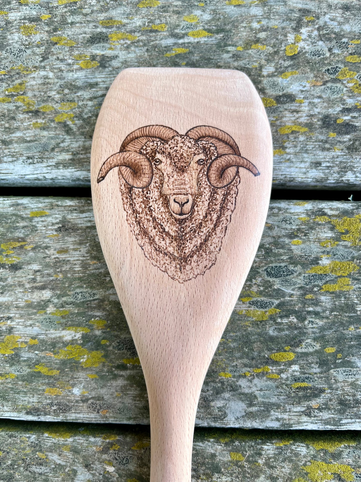 Ram spoon