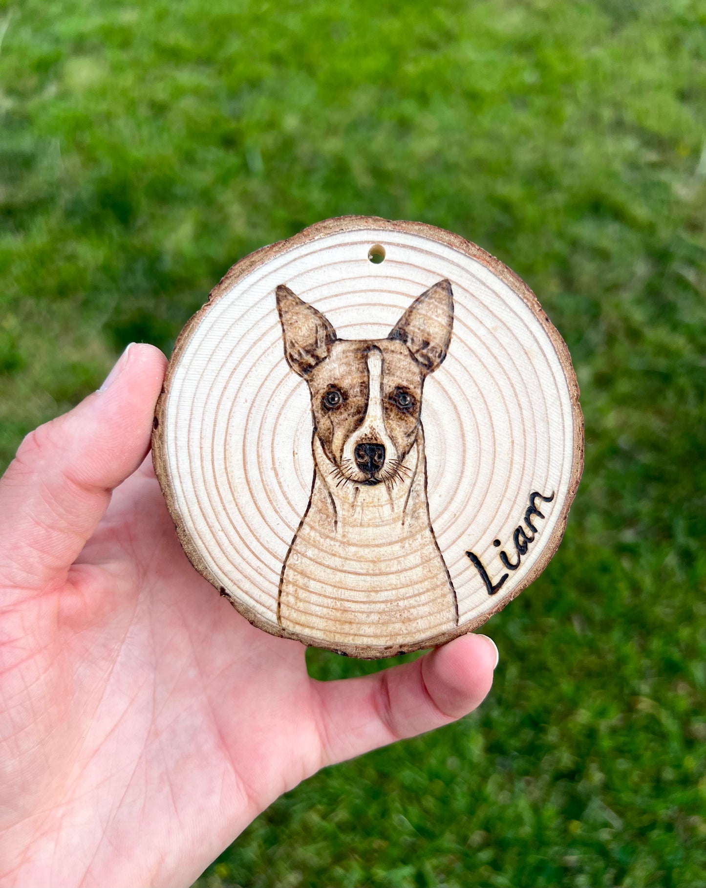 Handburned custom pet ornament