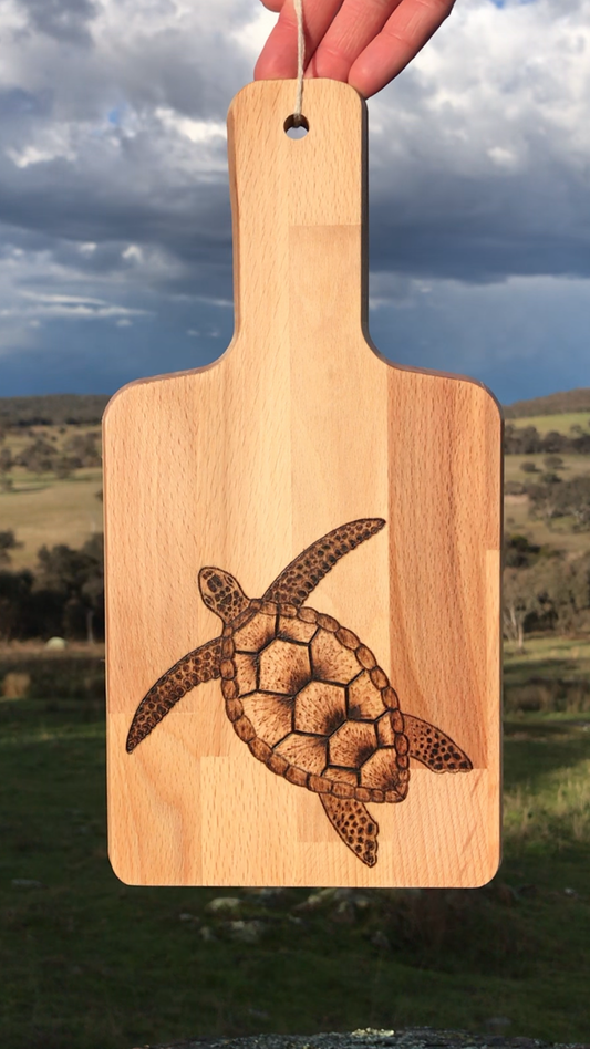 Turtle board