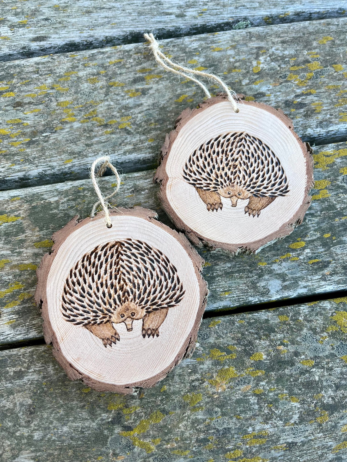 Echidna ornament