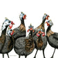 "Guinea Fowl confusion"