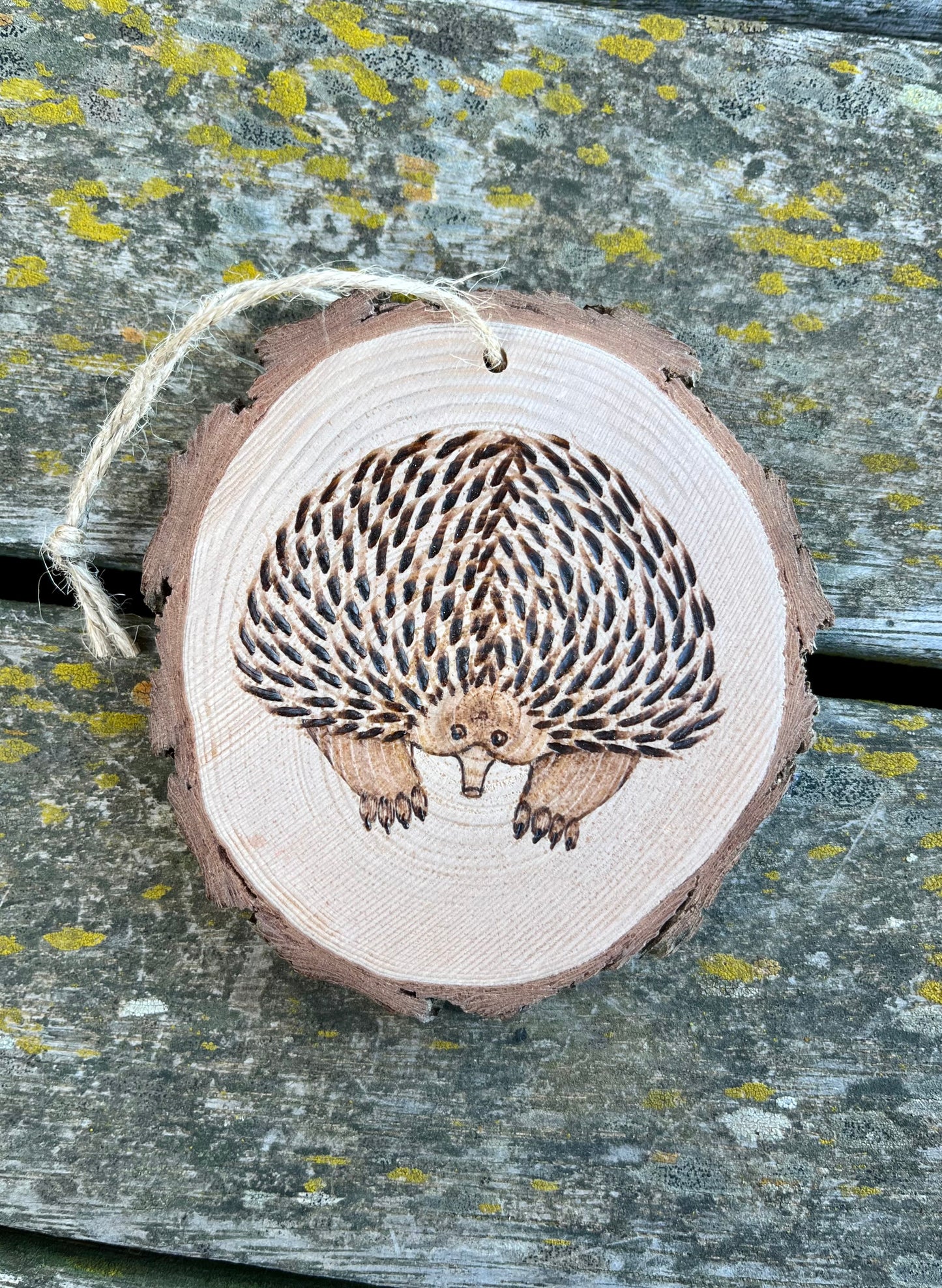 Echidna ornament