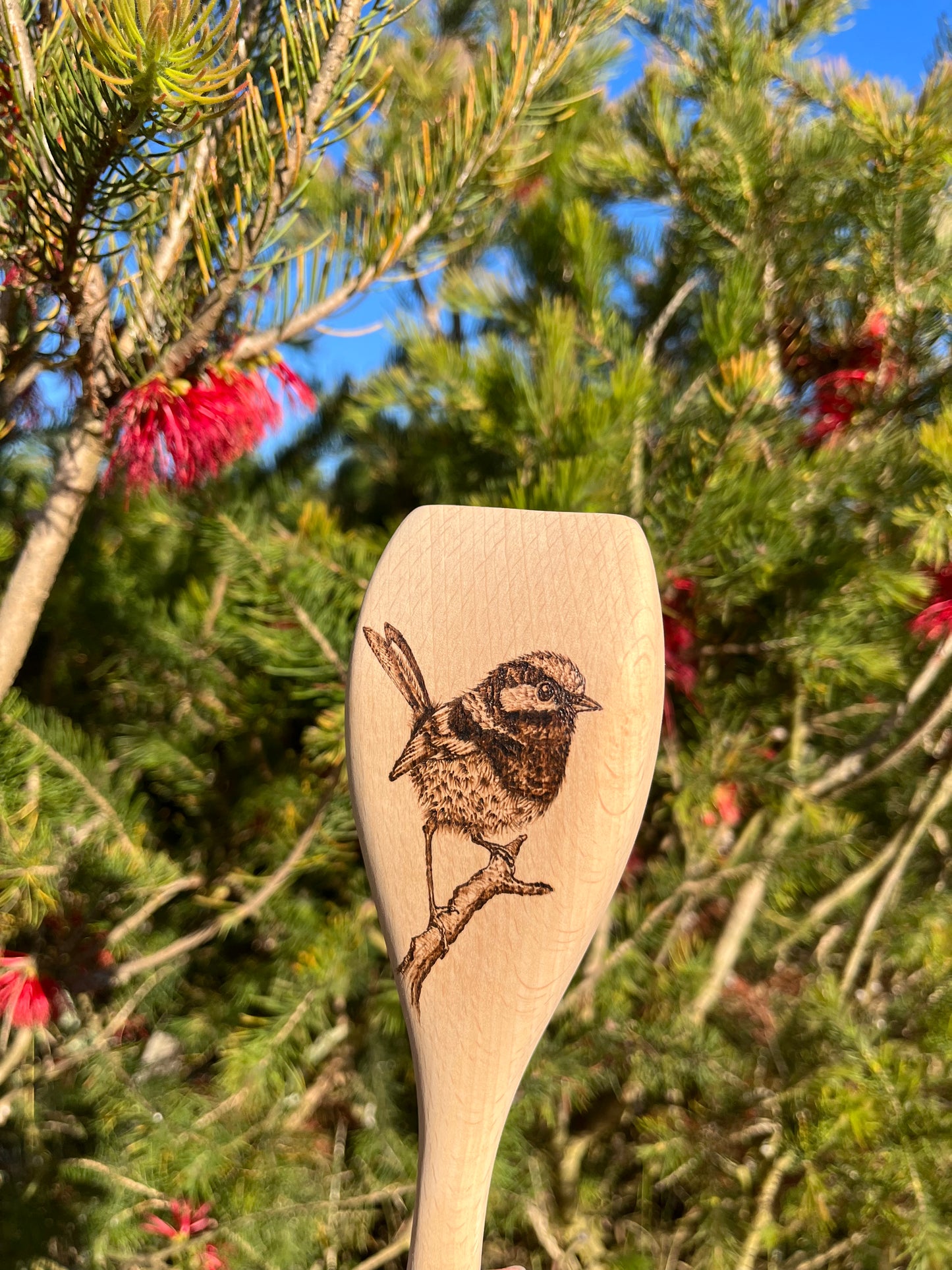 Wren spoon