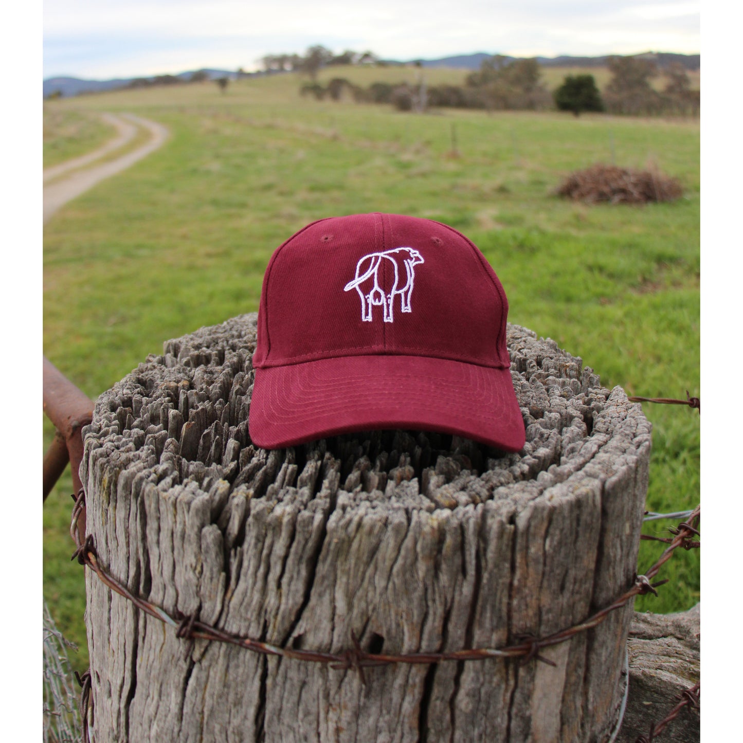 Maroon Cap