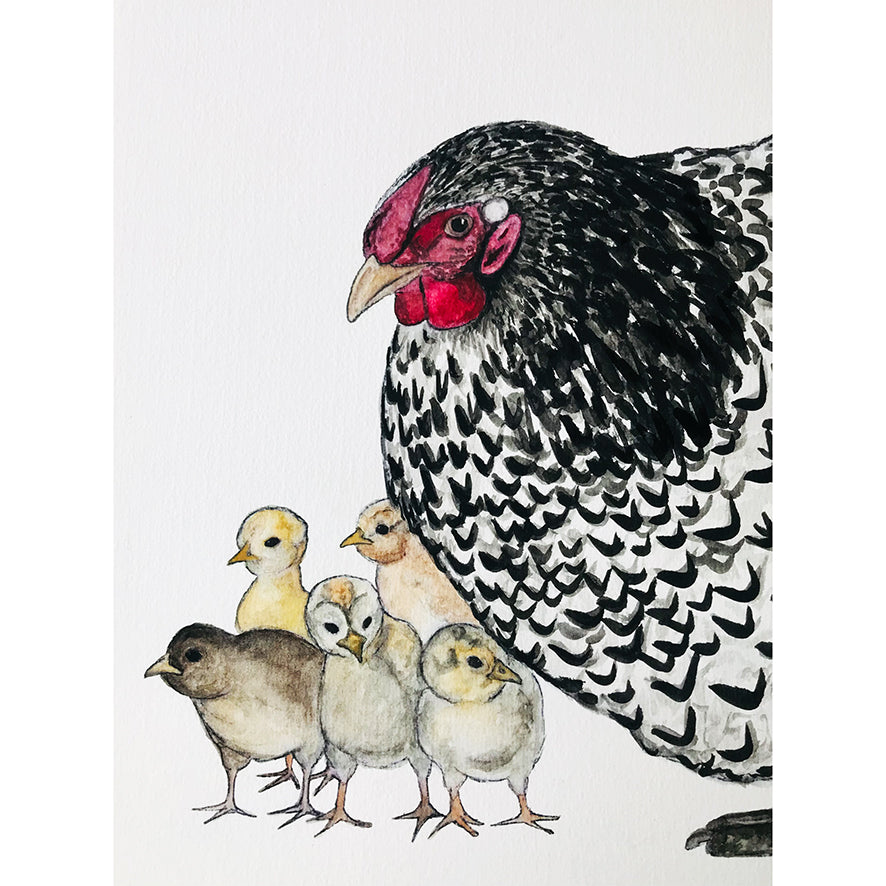 Mother Hen and Chicks