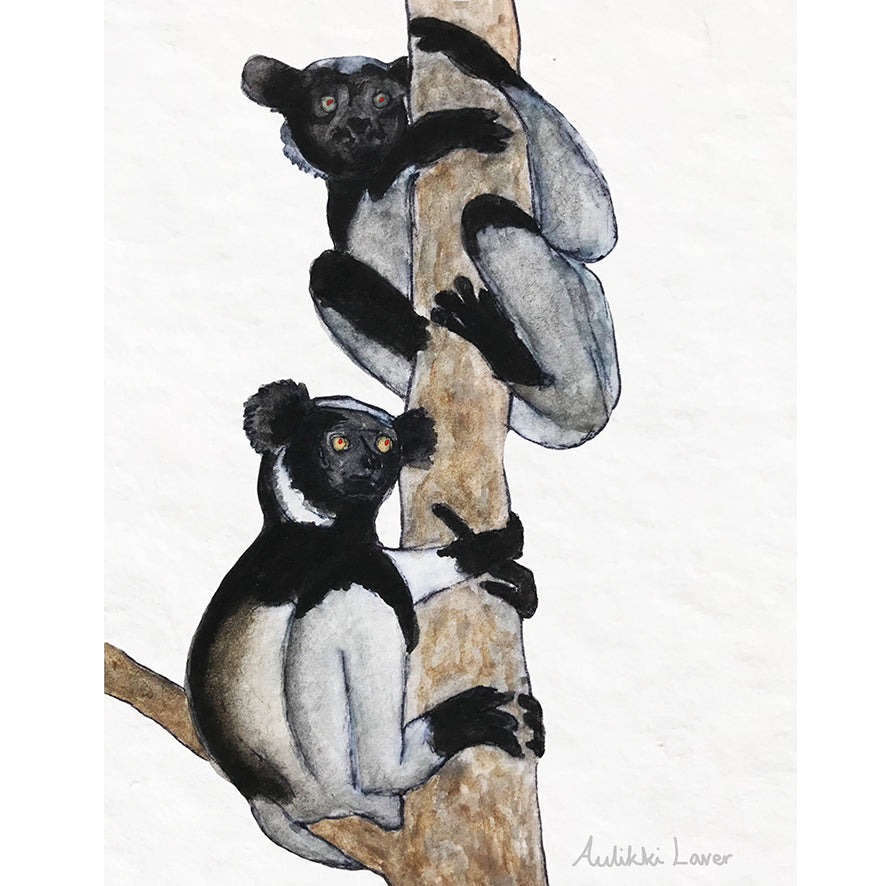 Lemurs