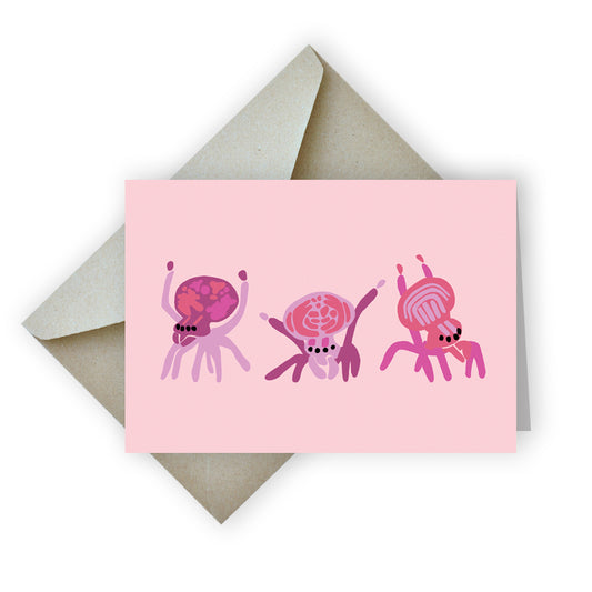 Pink Peacock Spiders